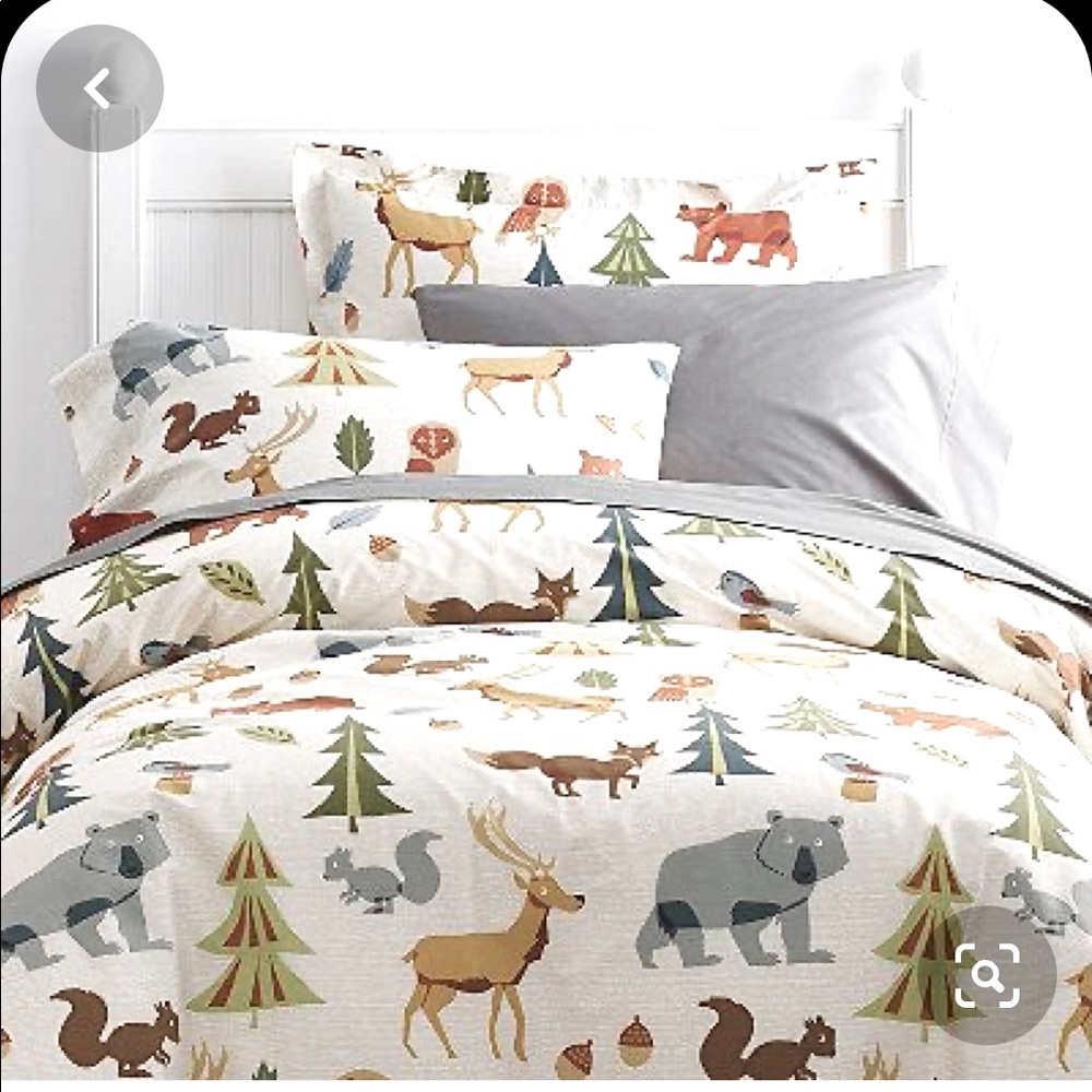 Company kids duvet cover and sham